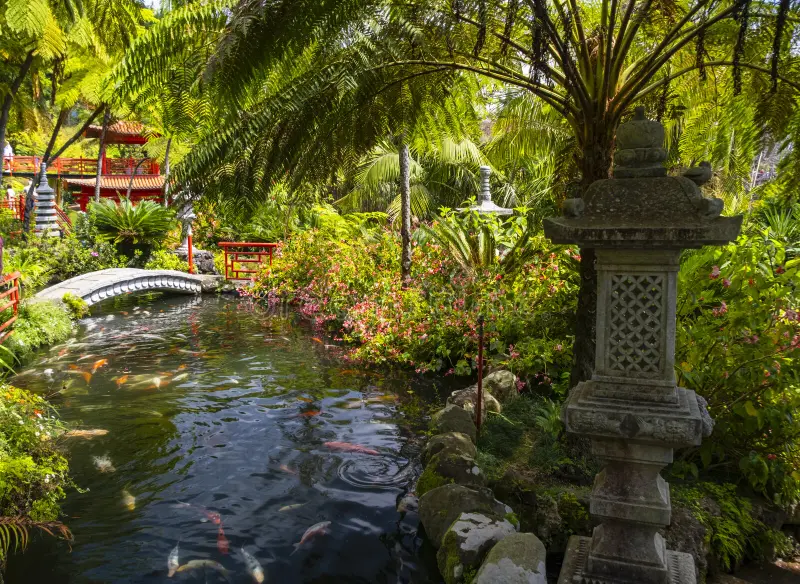 Your experience at Monte Palace Madeira Tours & Tickets