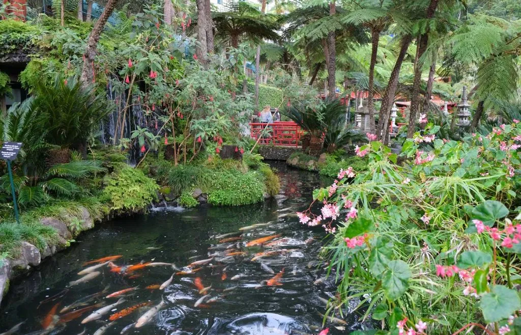 Oriental Gardens