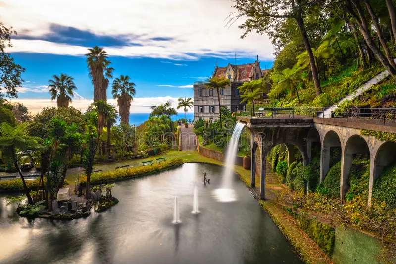 Koi Lake and Waterfall