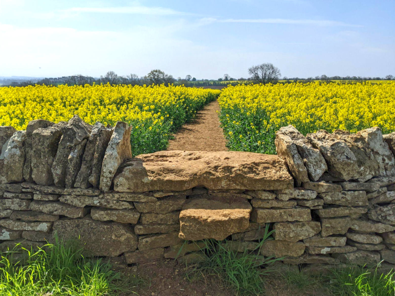 Cotswolds Day Trip