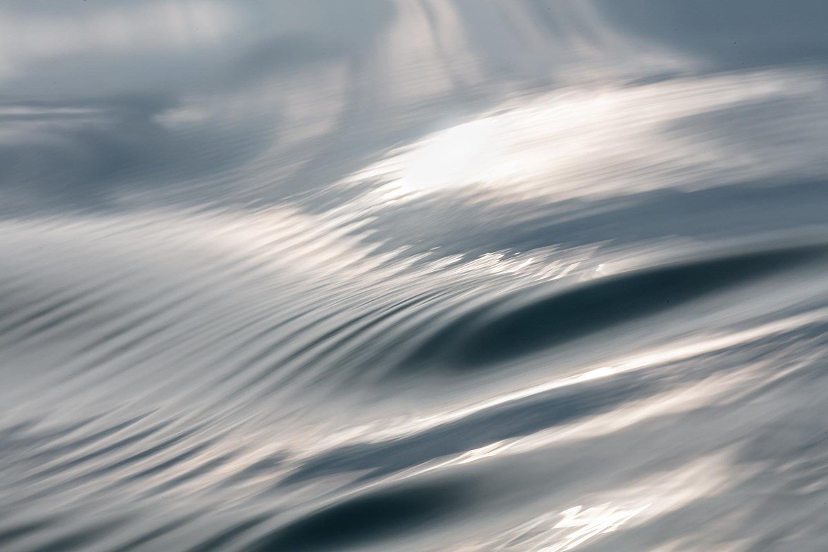 Silvery Reflections