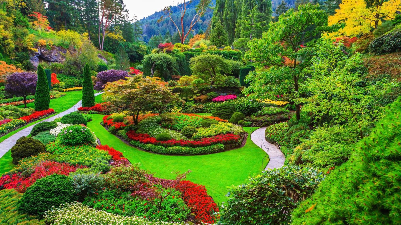 Sunken Garden