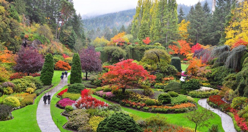 Vancouver to Victoria Day Trip