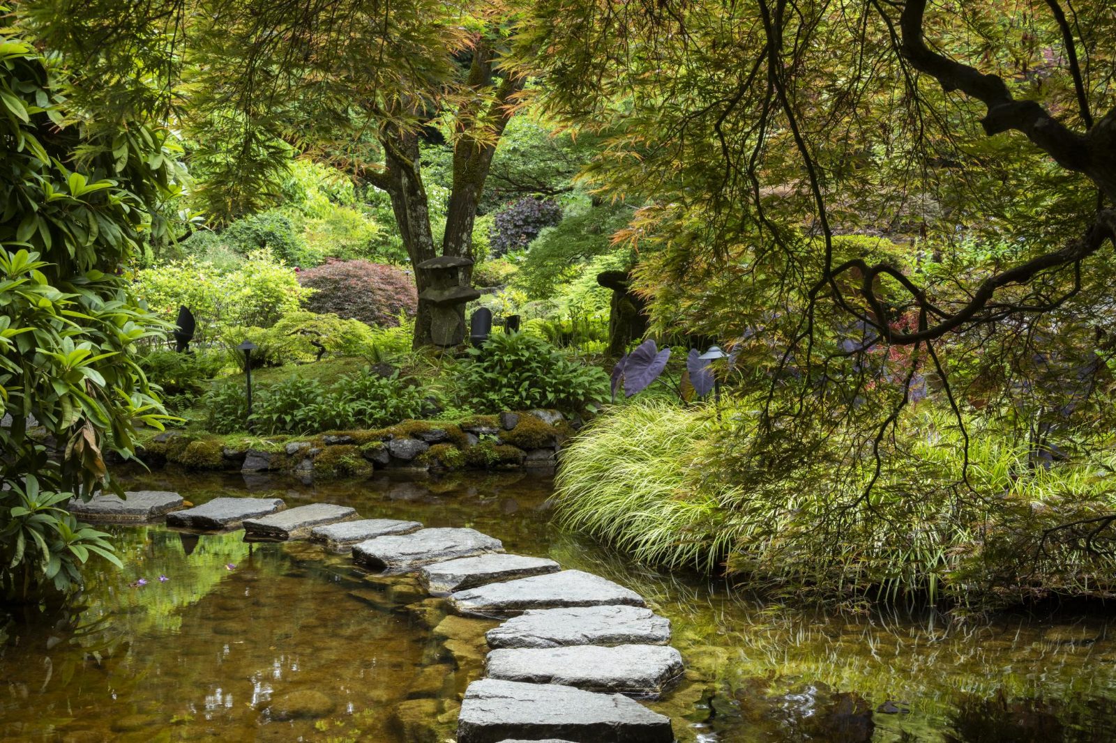 Japanese Garden
