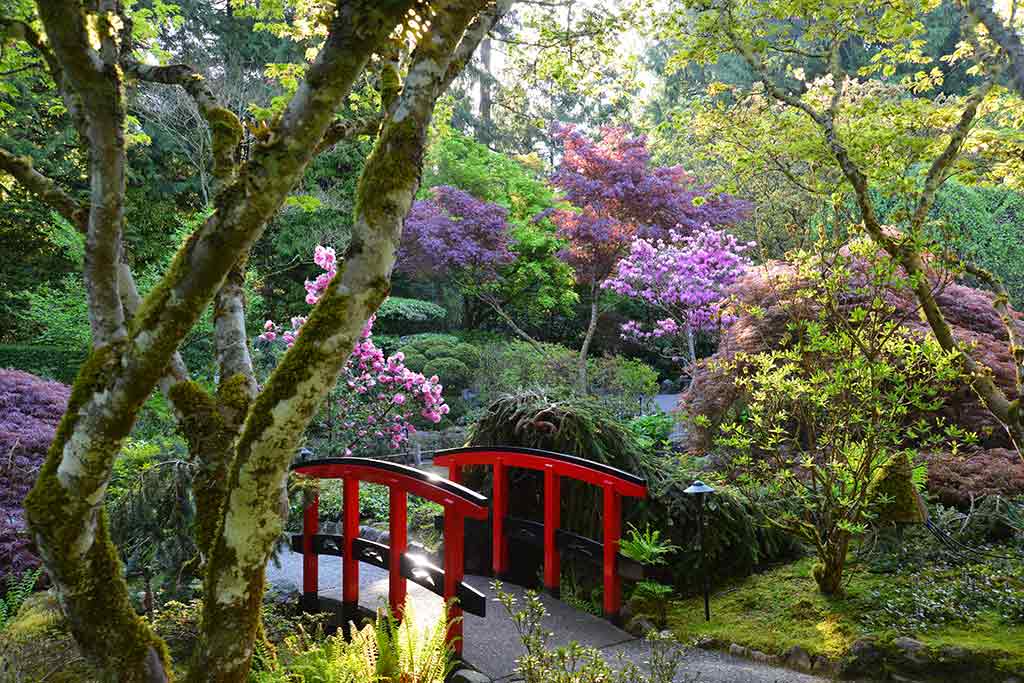 Japanese Garden Stream