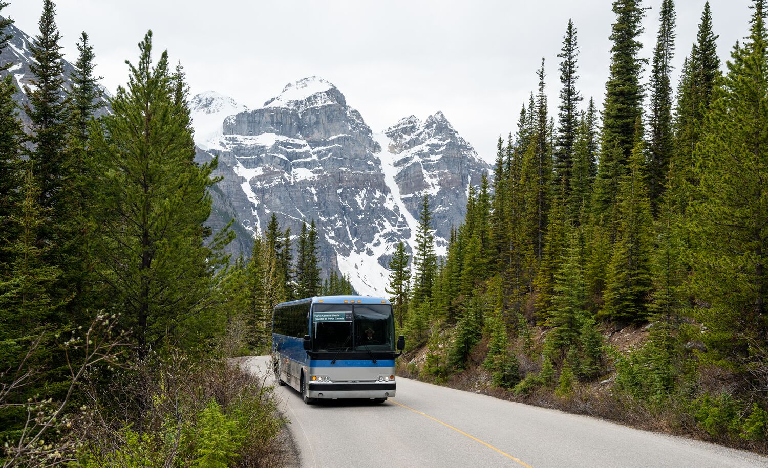 Calgary to Banff Shuttle