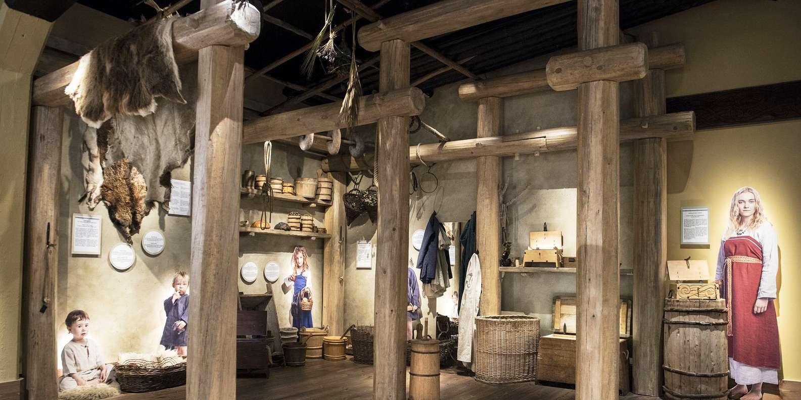 The Viking Life