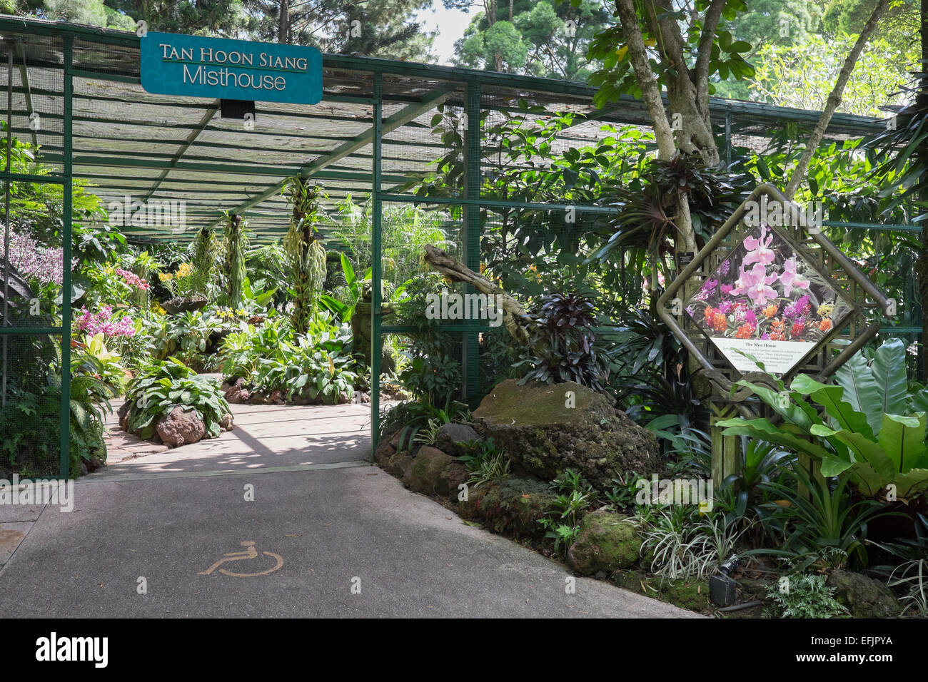 Tan Hoon Siang Mist House and Bromeliad Collection