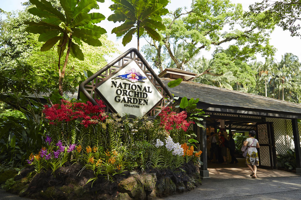 Arrival and Entrance