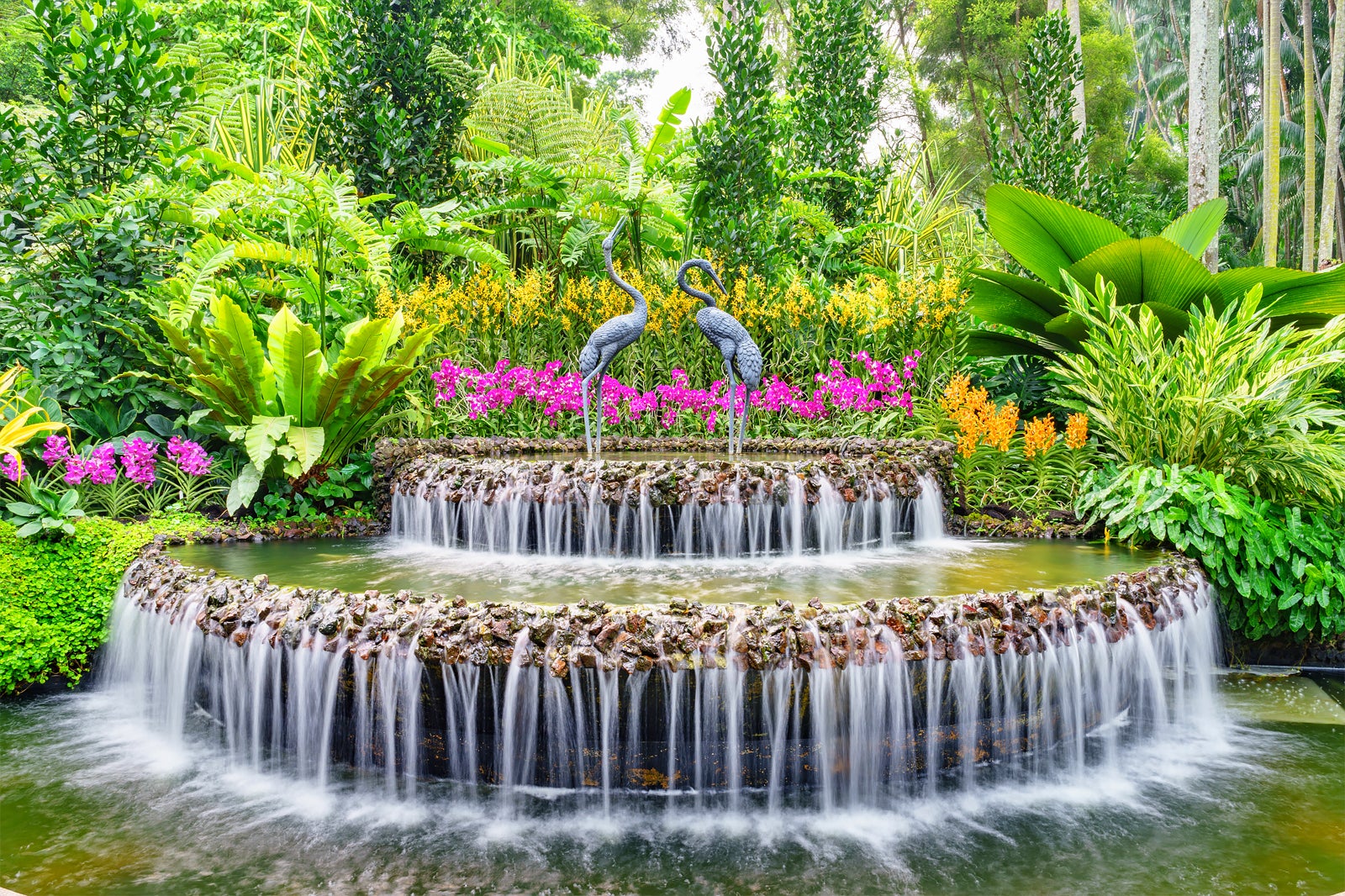 National Orchid Garden Tours & Tickets