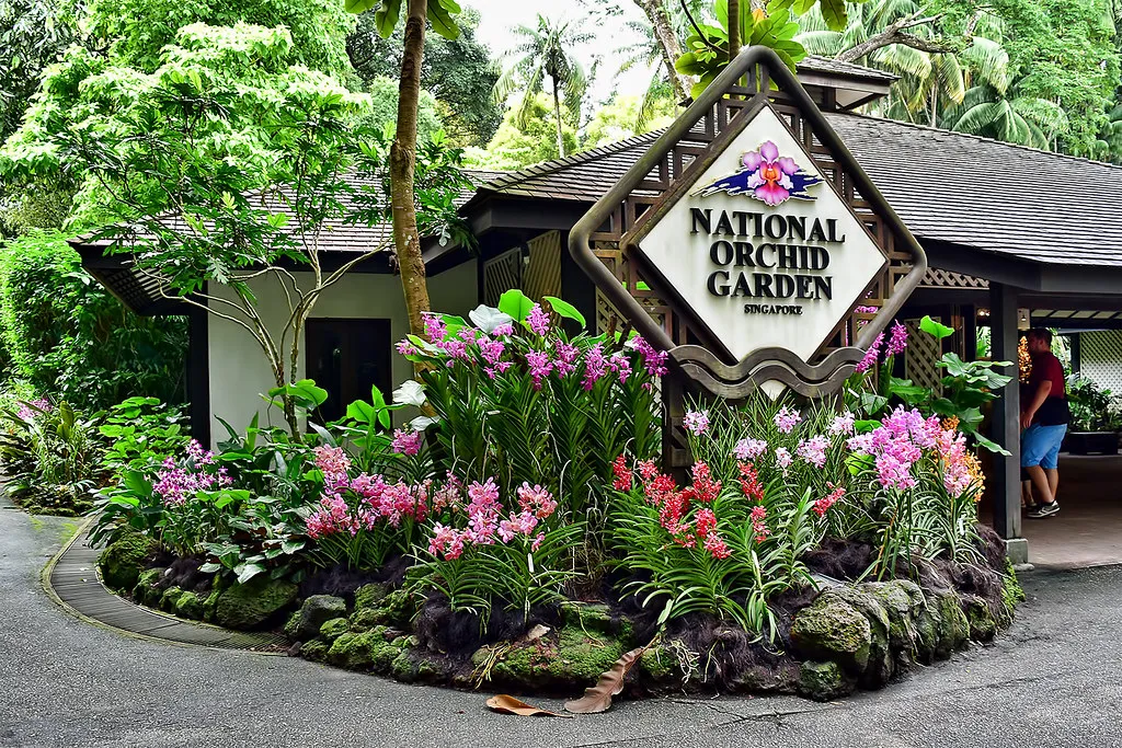 Exploring the National Orchid Garden