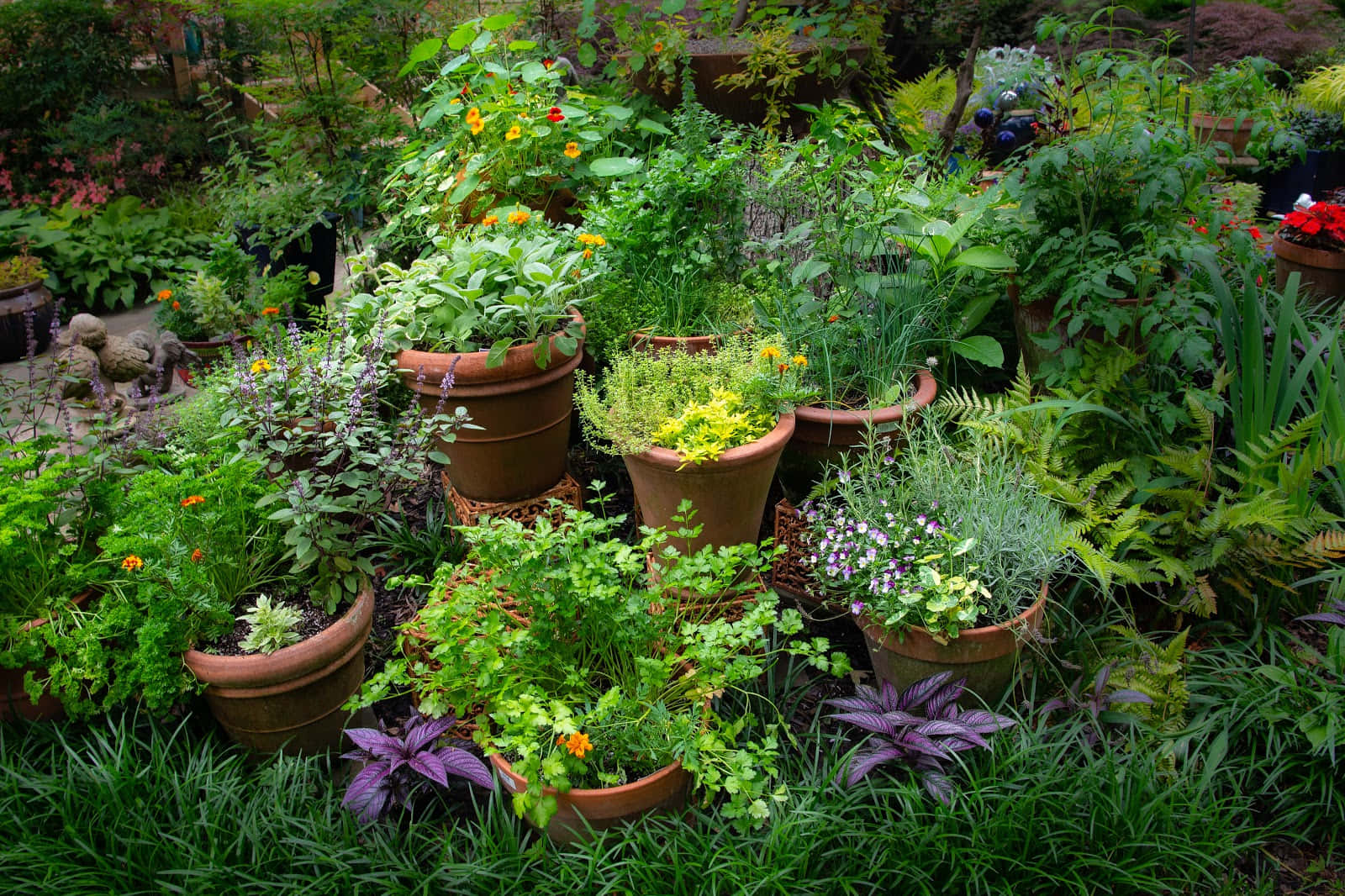 Herb Garden Entrance