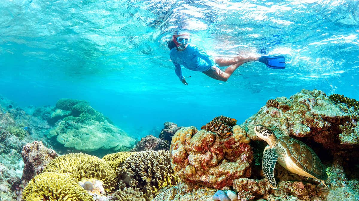 Coral Reef Snorkel Sites