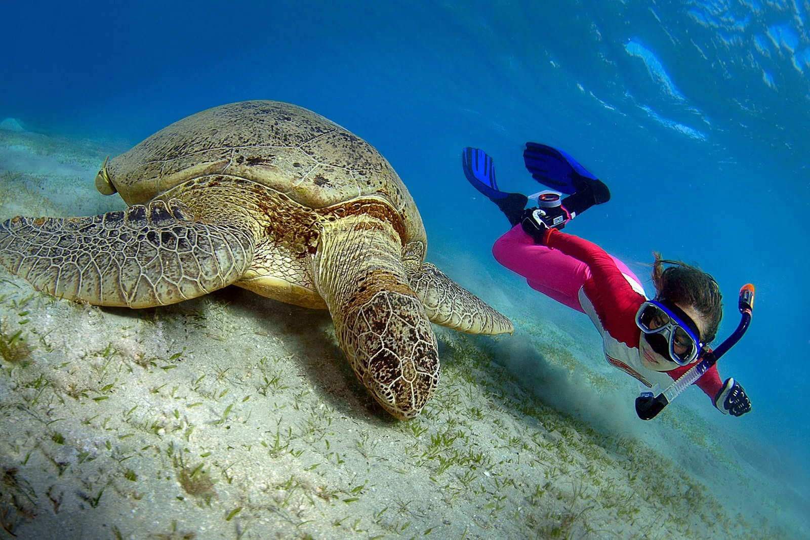 Daymaniyat Islands Best Things to Do