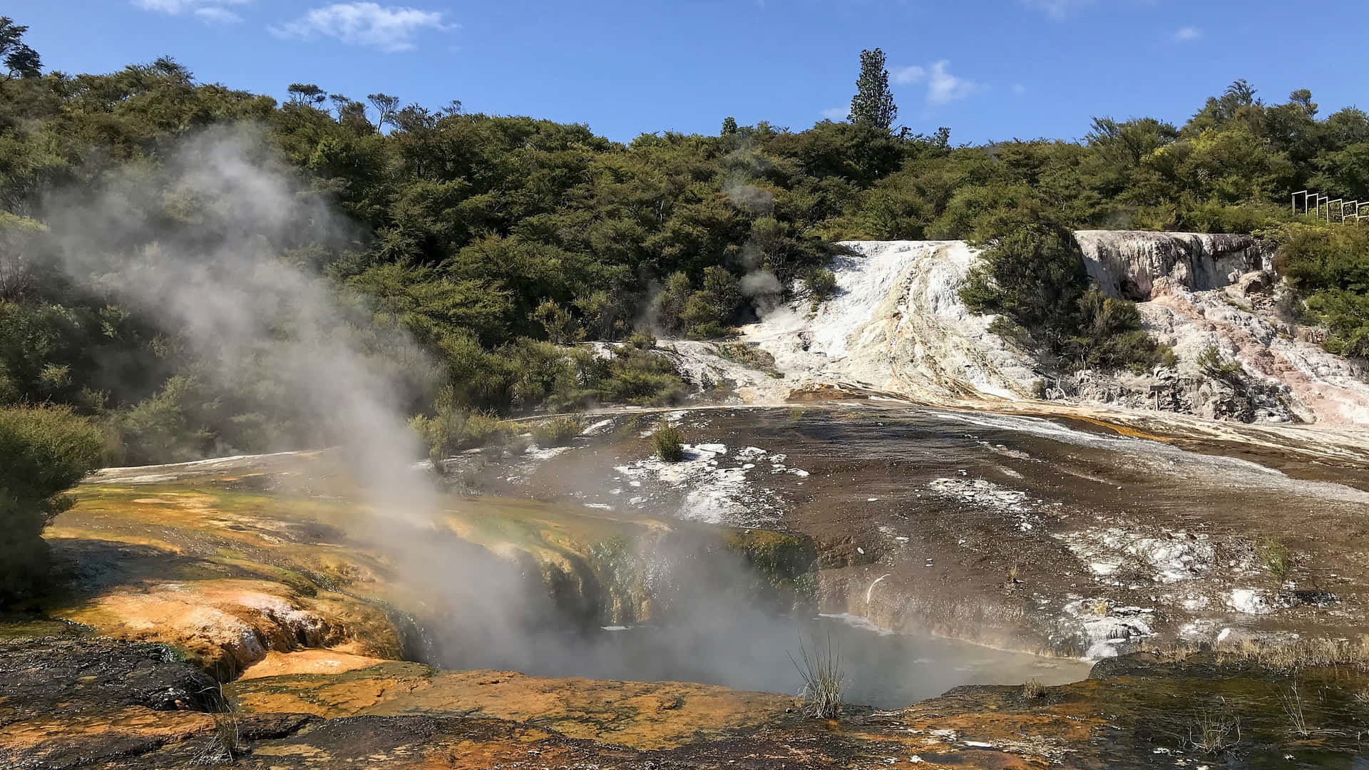 Steam Vents