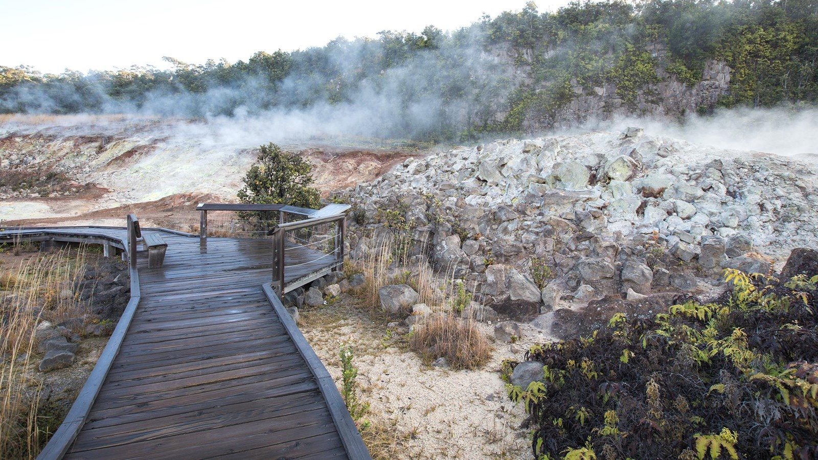 Sulfur Banks