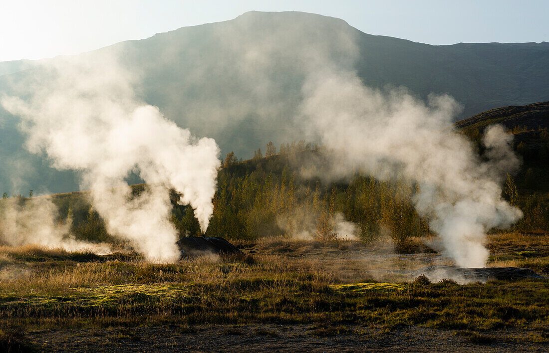 Steam Vents