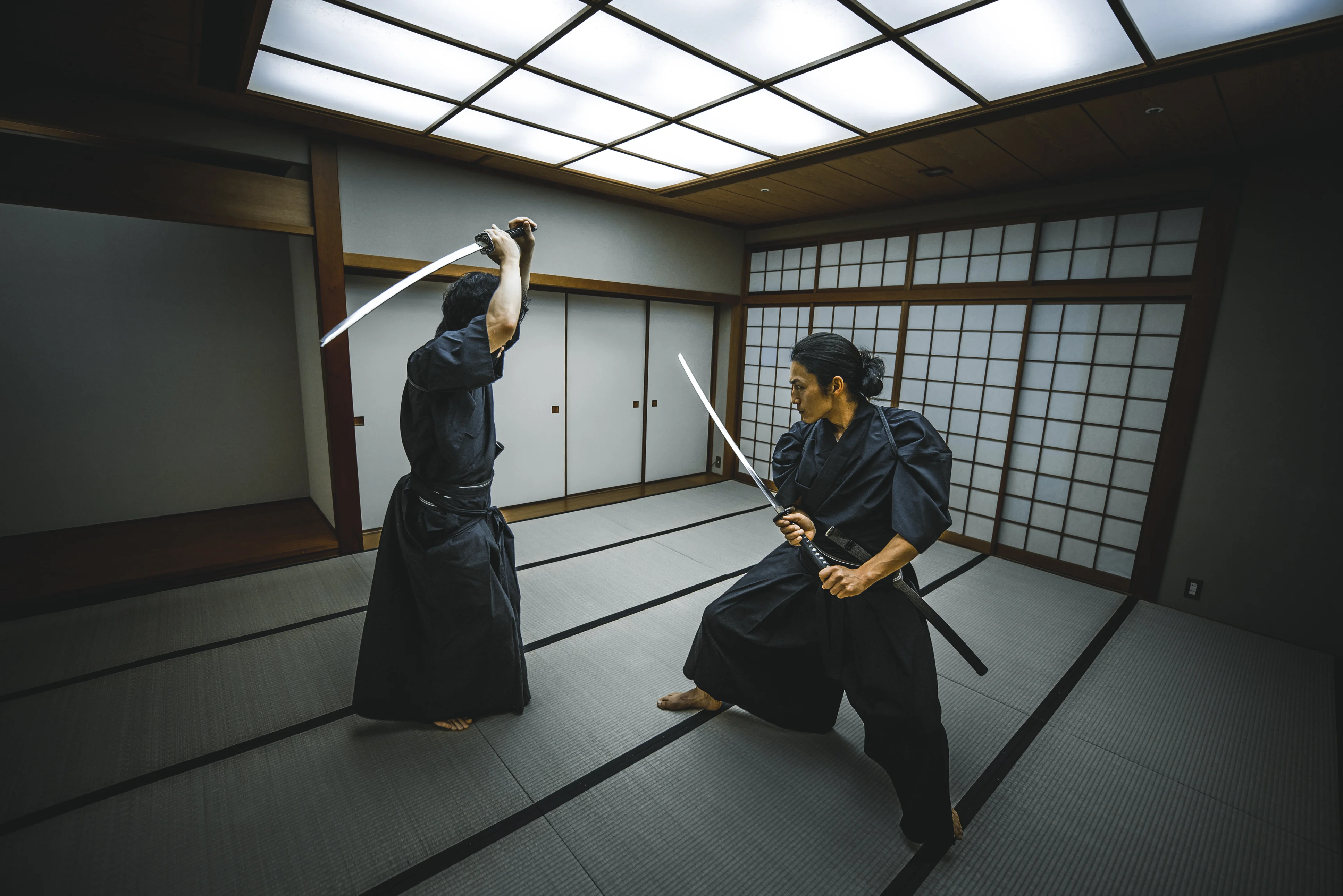 Interactive Dojo