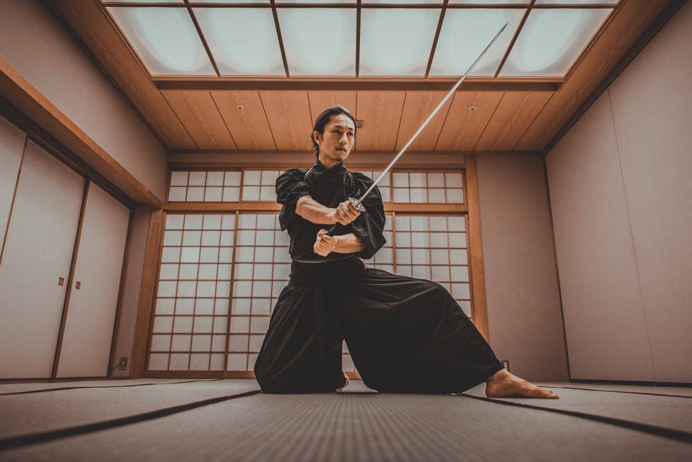 Dojo Training Space
