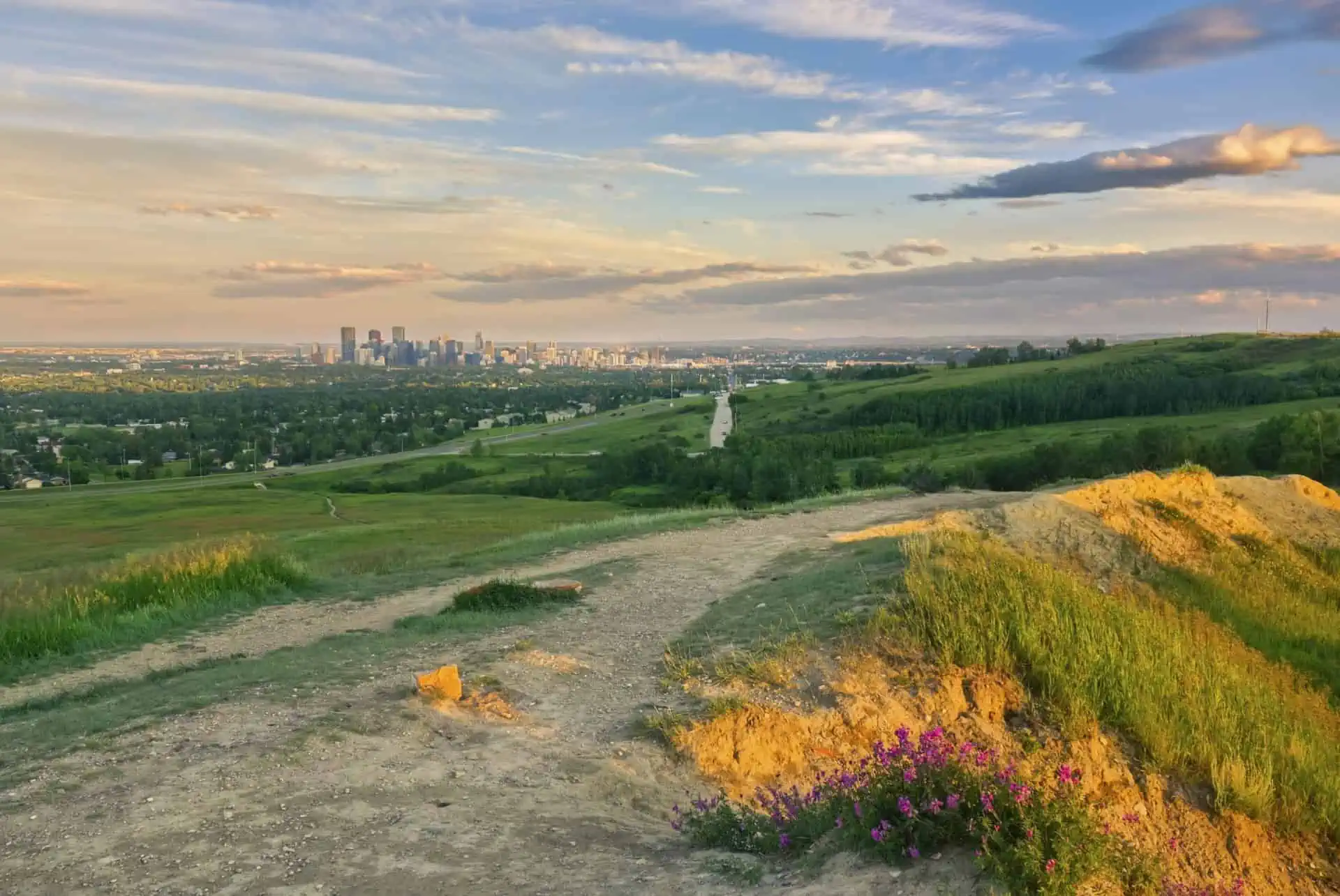 Nose Hill Park