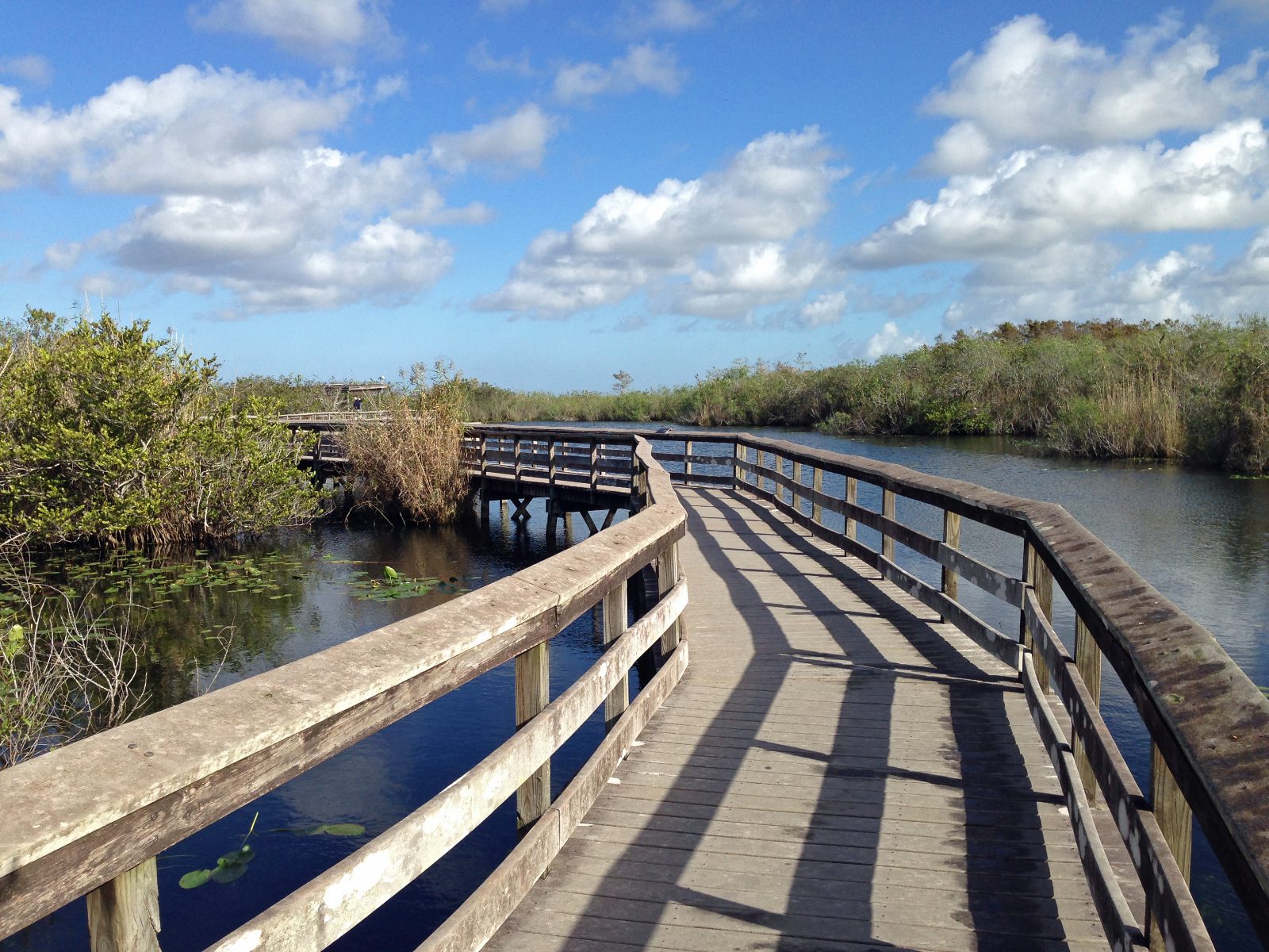 Anhinga Trail Boardwalk