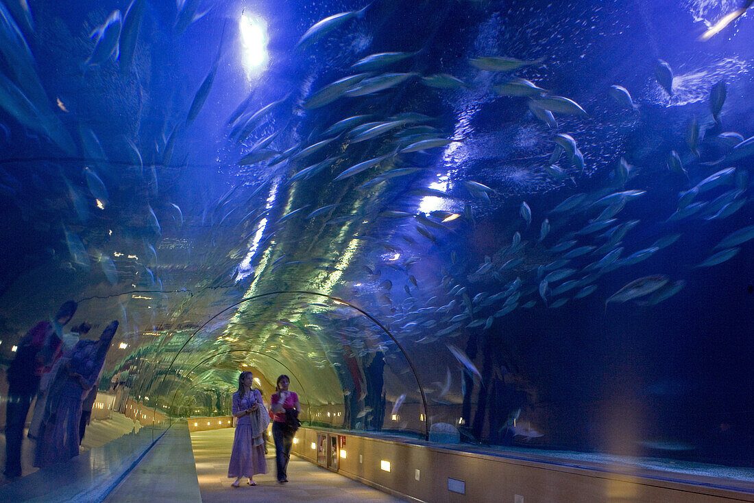 The Oceans Tunnel