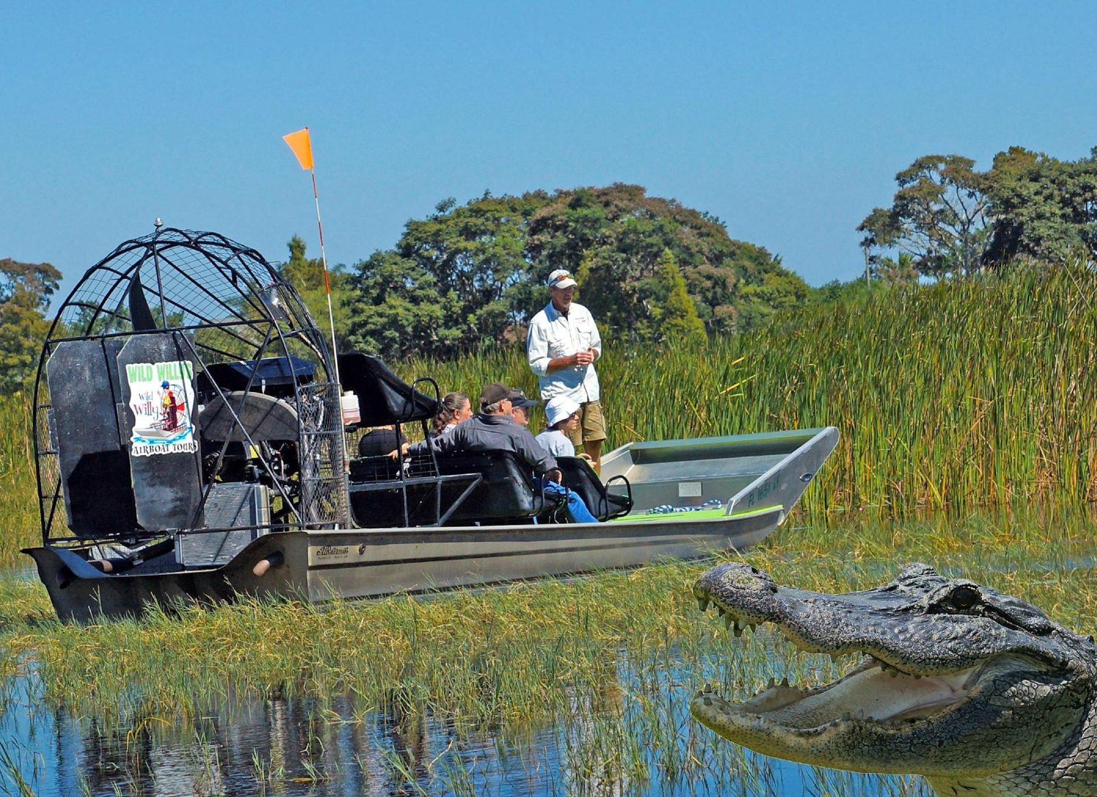 Everglades Airboat Tour Naples