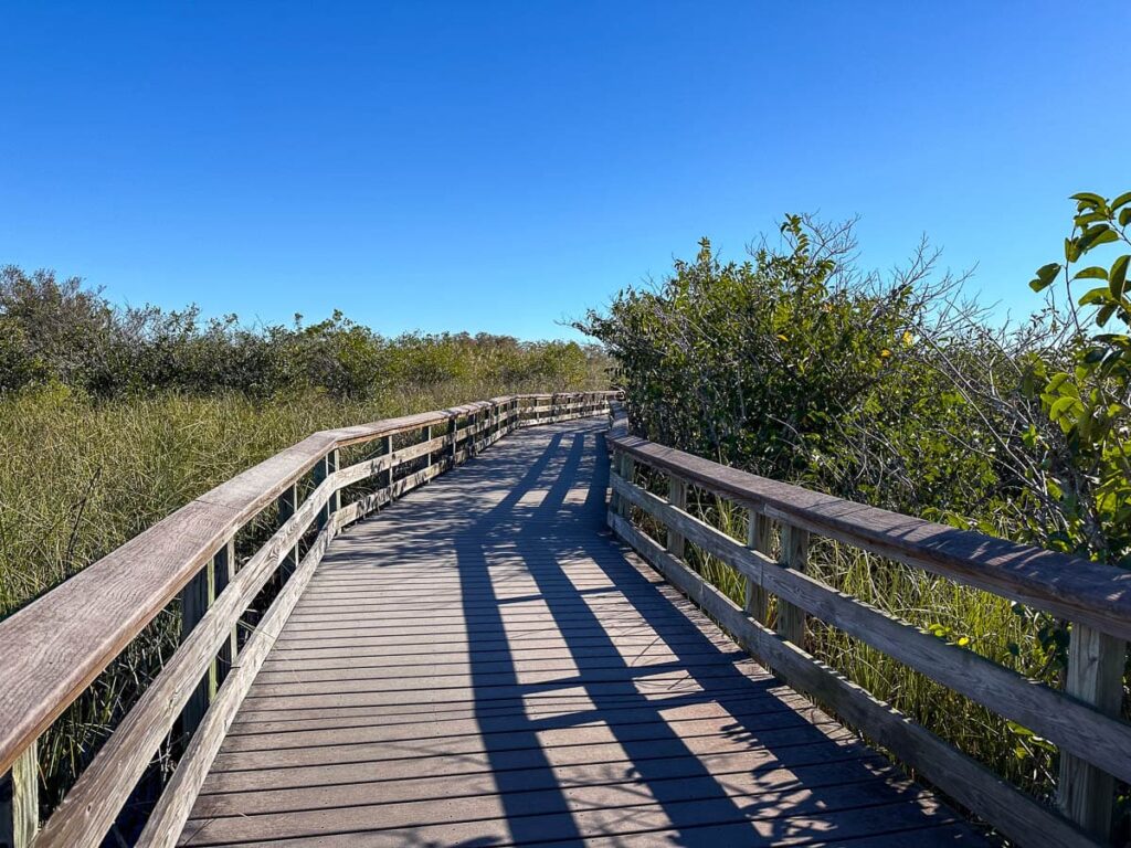 Marshland Boardwalk