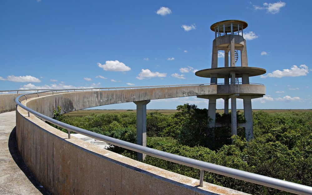Wildlife Observation Platform