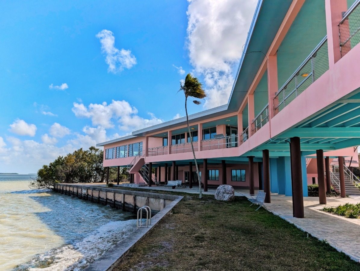 Flamingo Area