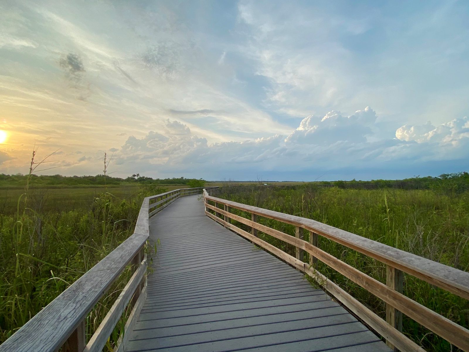 Anhinga Trail Boardwalk