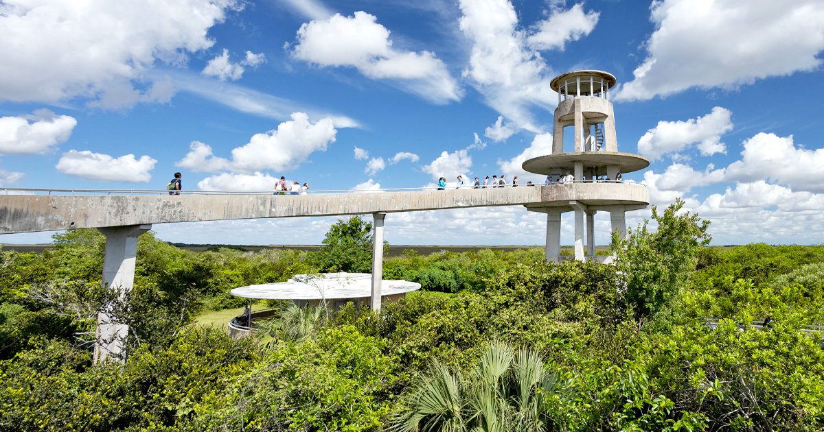 Shark Valley Observation Tower