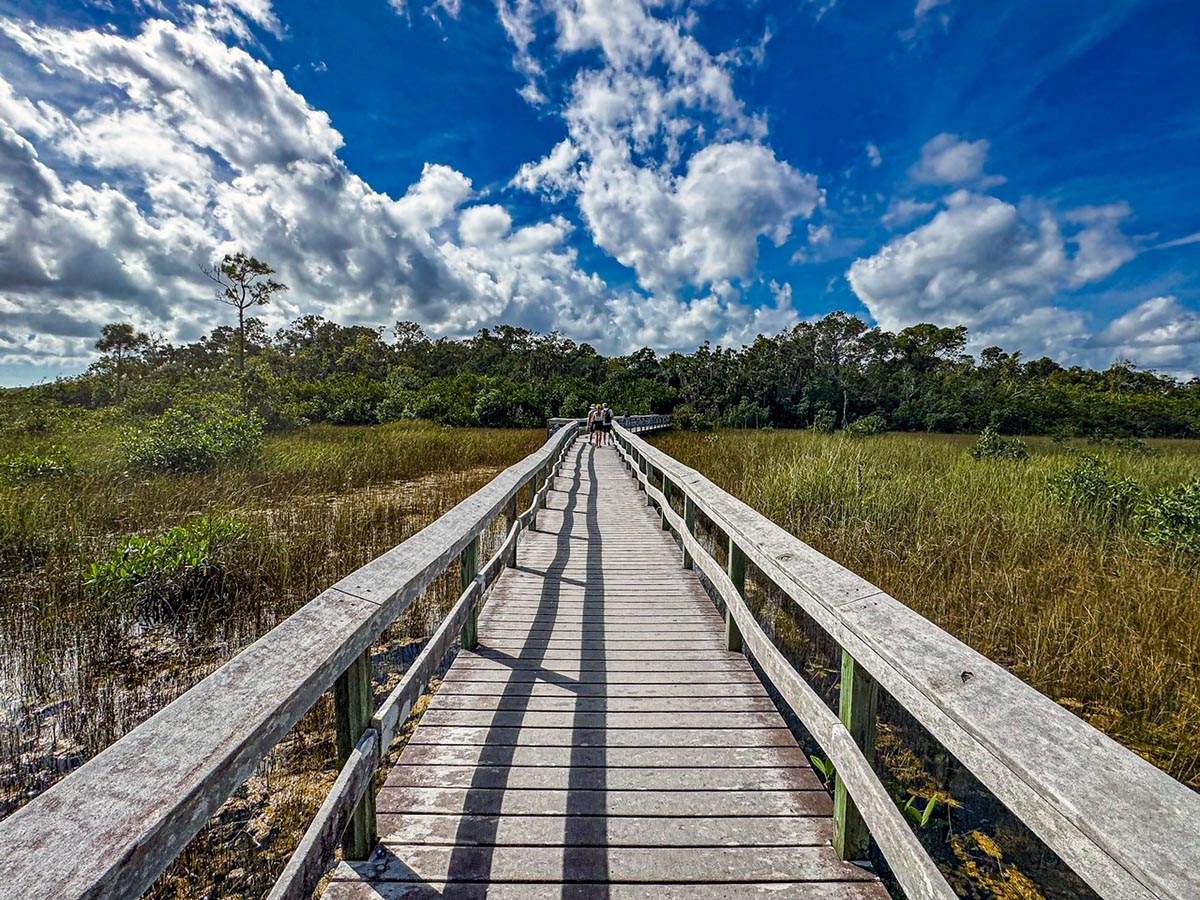 Mahogany Hammock Boardwalk