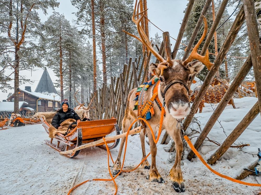 Reindeer Park Viewpoint
