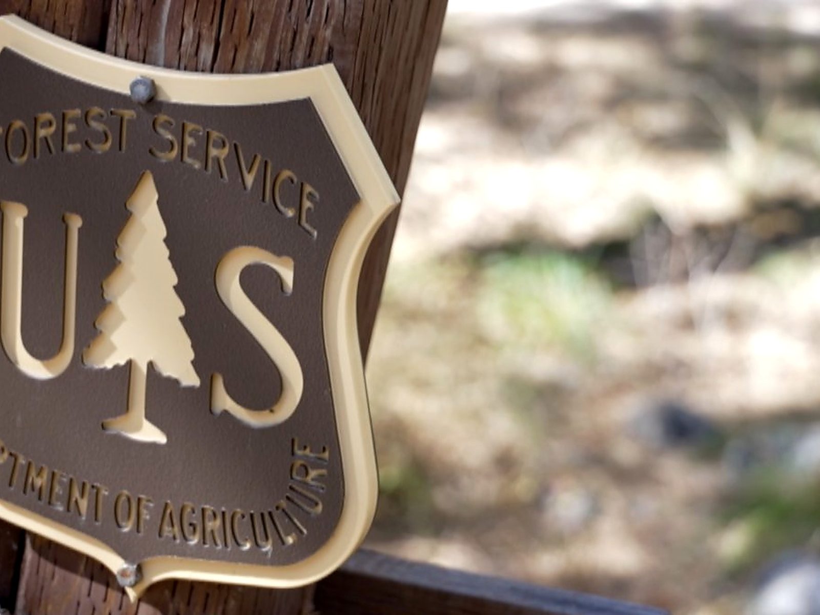 Forest Service Post