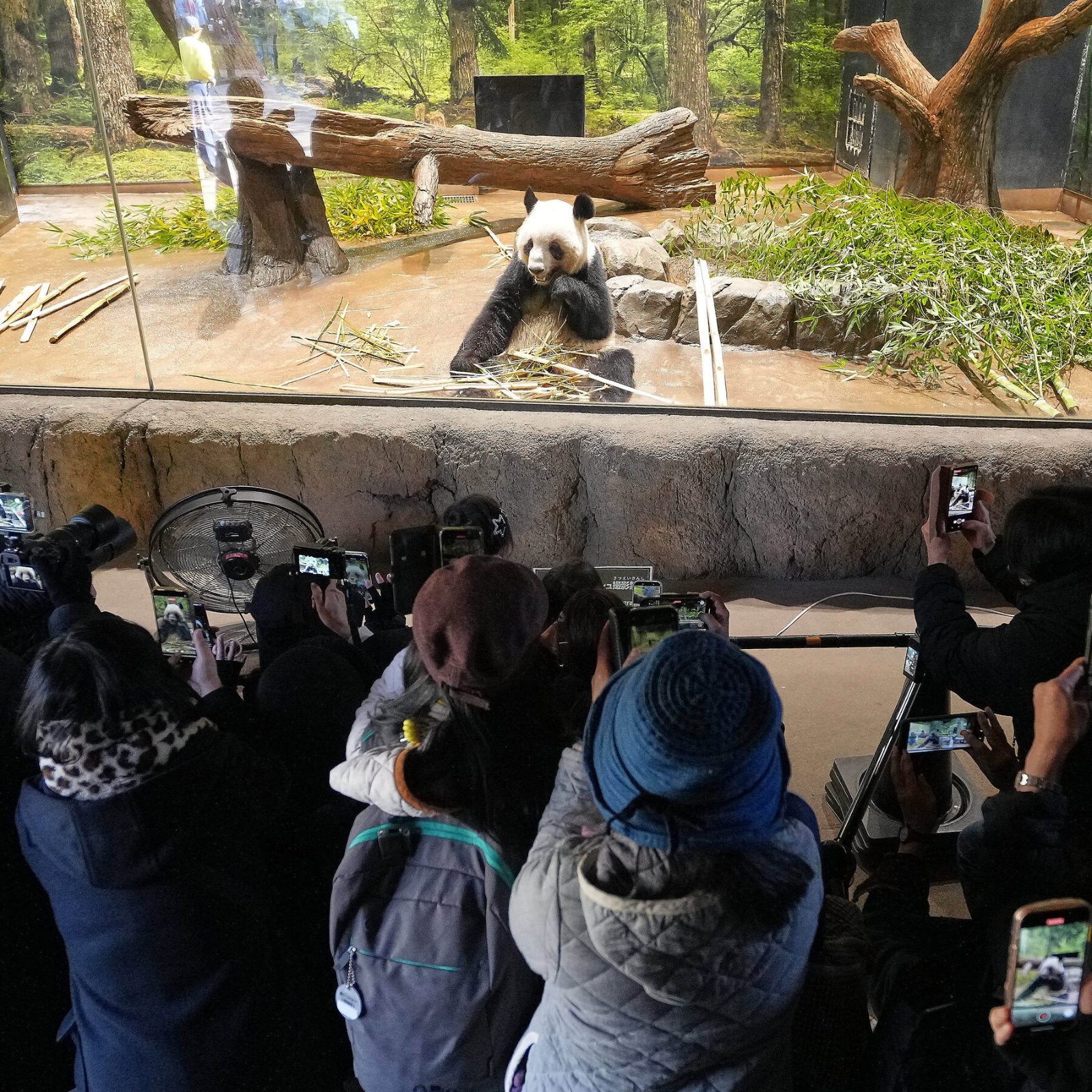 Berlin Zoo Family Ticket Price