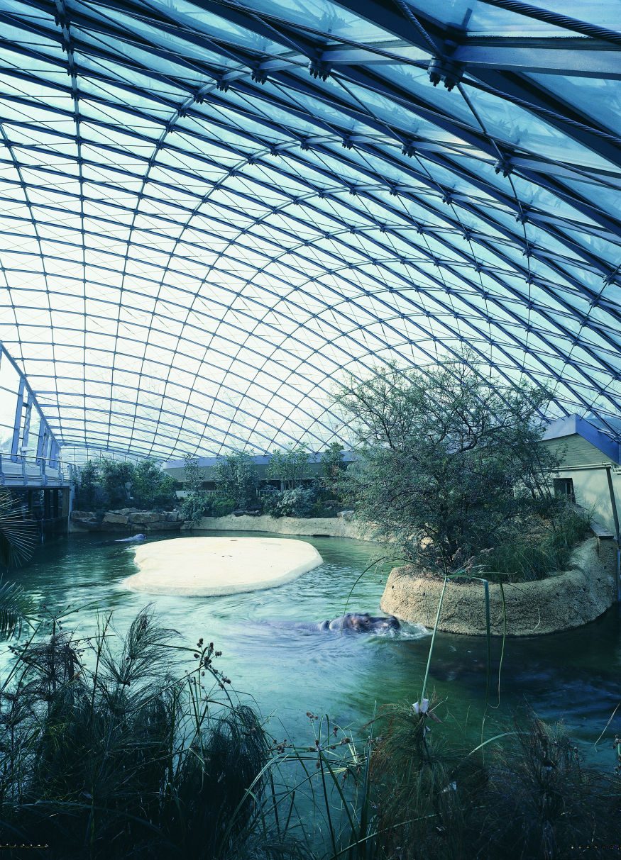 ;Hippopotamus House