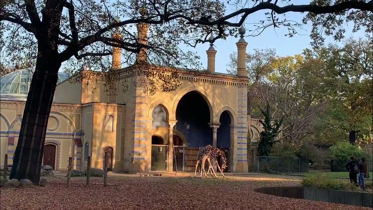 Antelope House