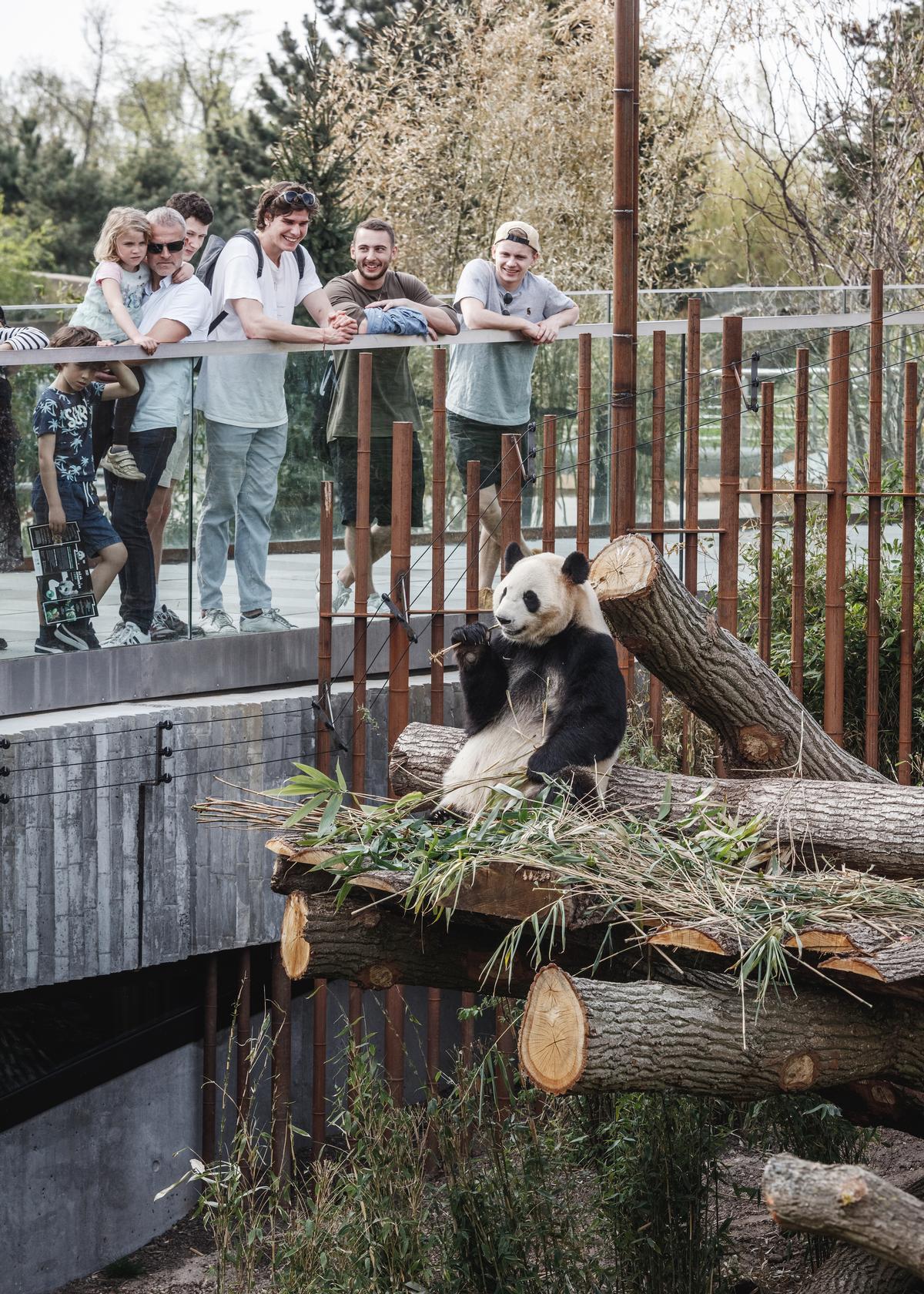Berlin Zoo Tickets Online
