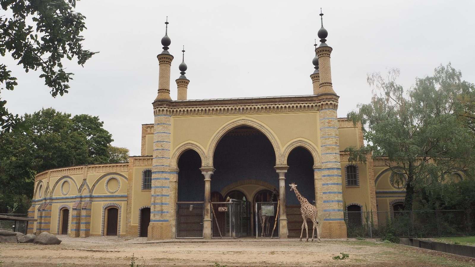 Giraffe House Terrace