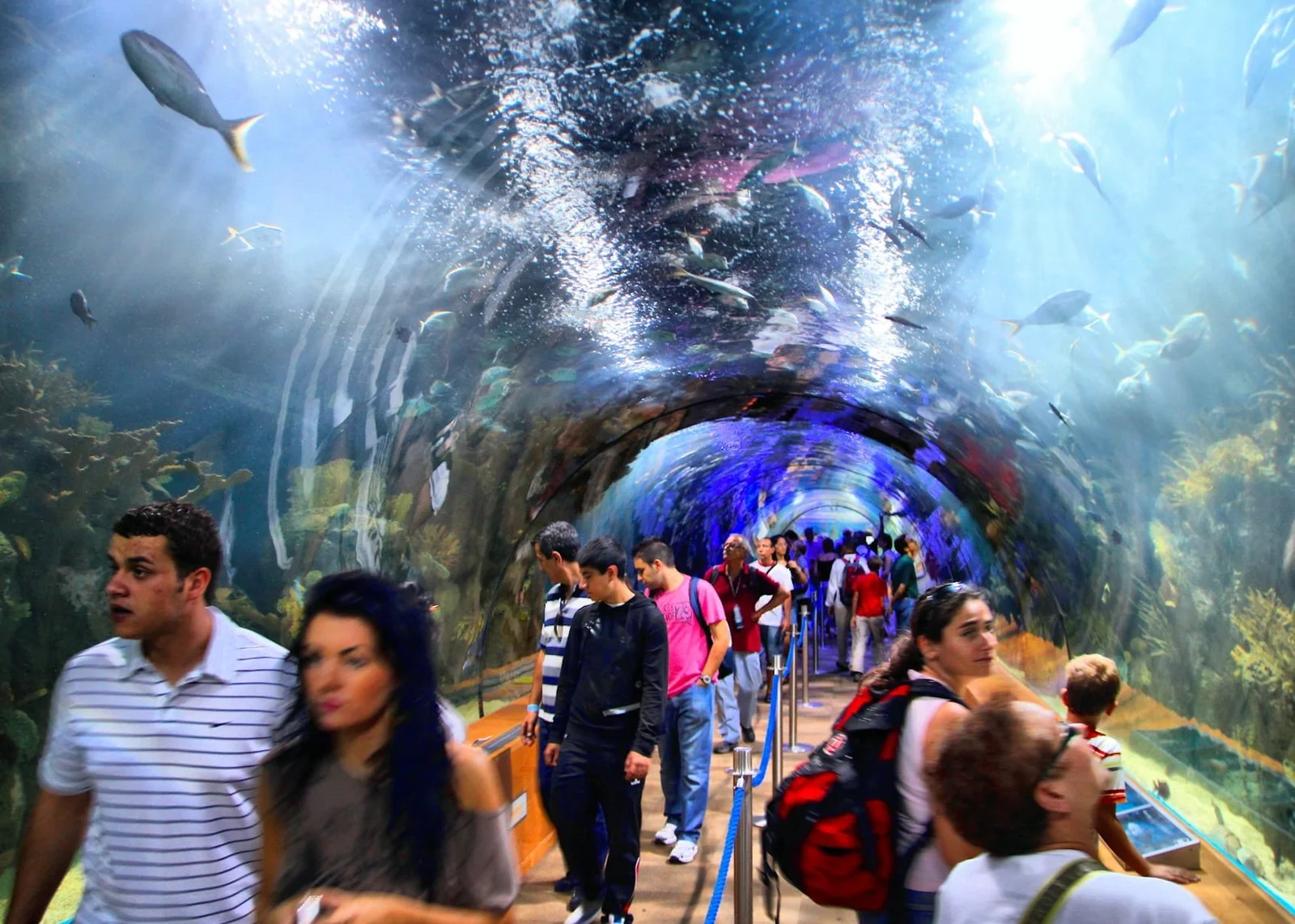 Ocean Tunnel and Arctic Igloo