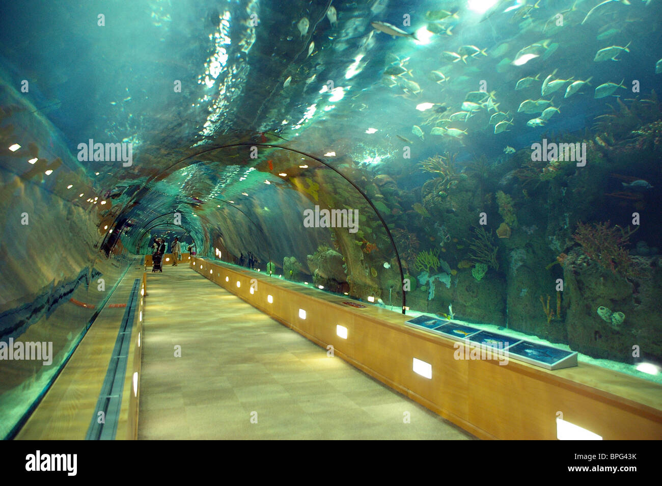 Oceans Tunnel