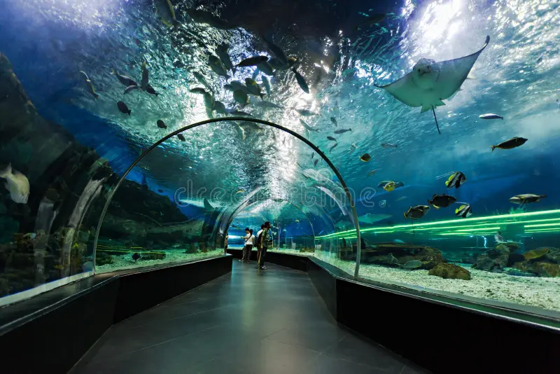The Oceans Pavilion and Tunnel