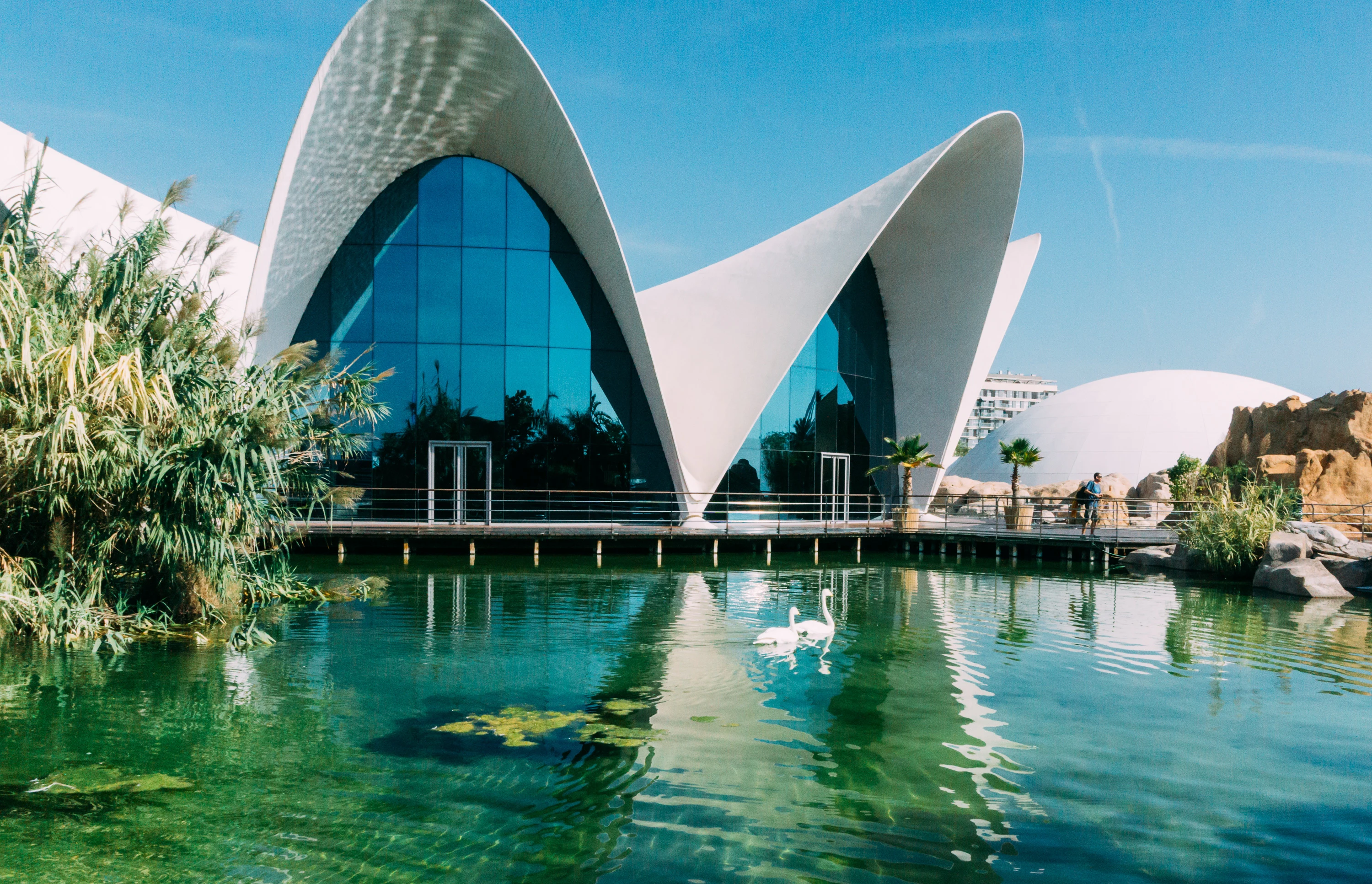 Wetlands and Aviary Dome