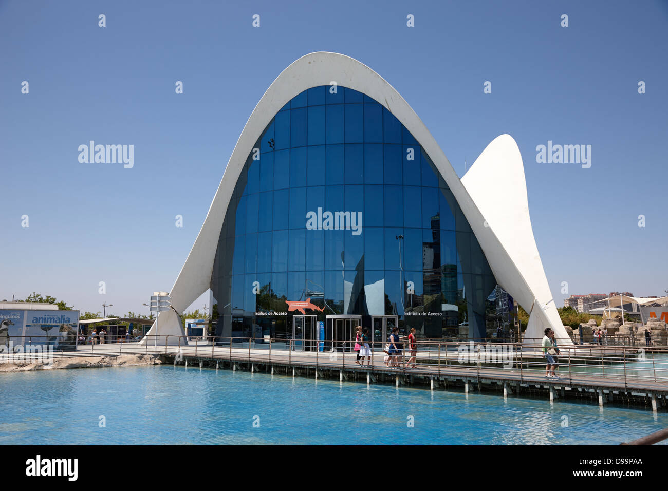 Access Building and Jellyfish