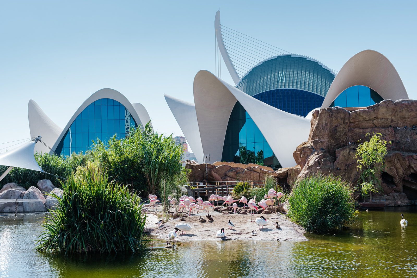 Mediterranean Habitat