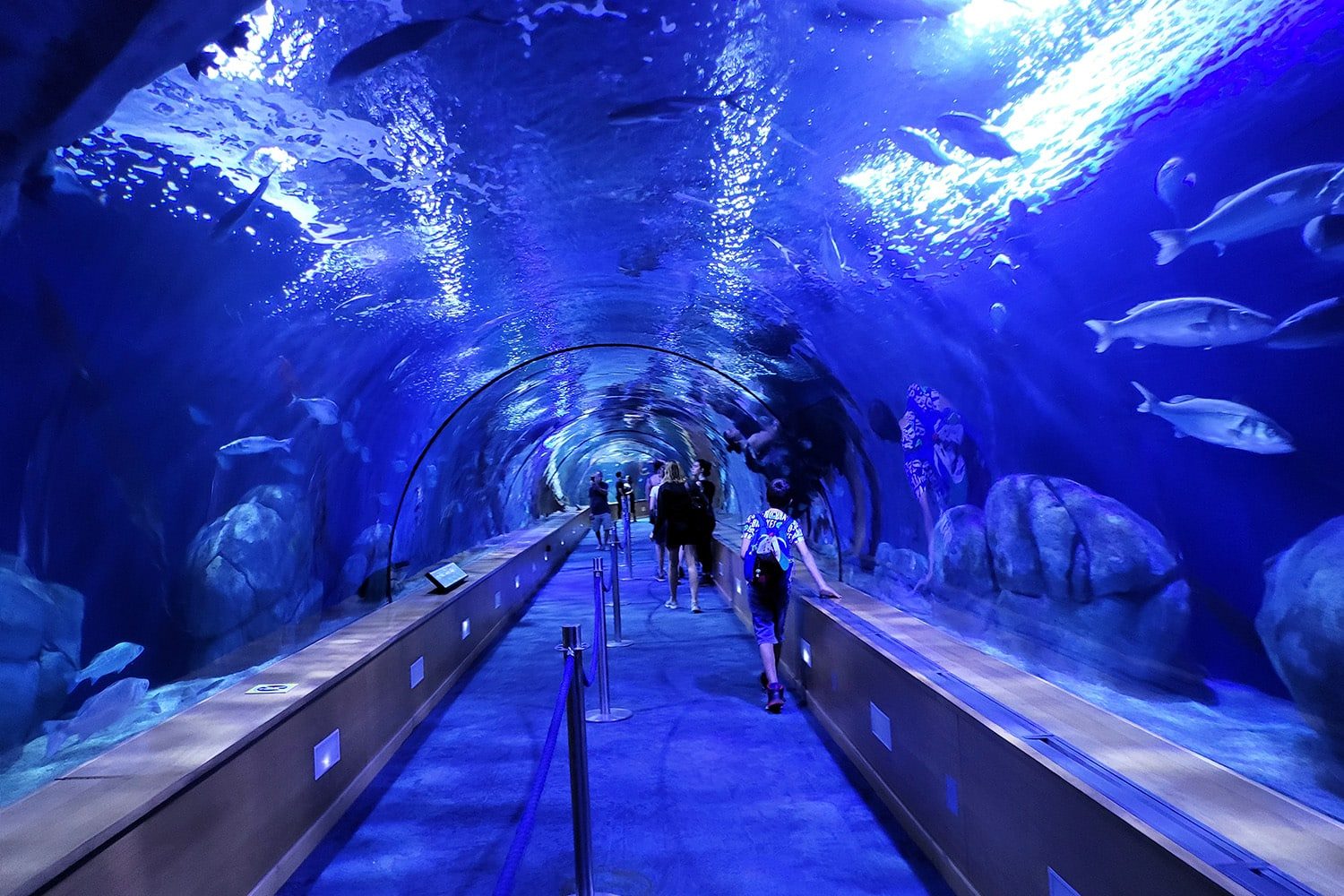 Valencia Aquarium Tickets