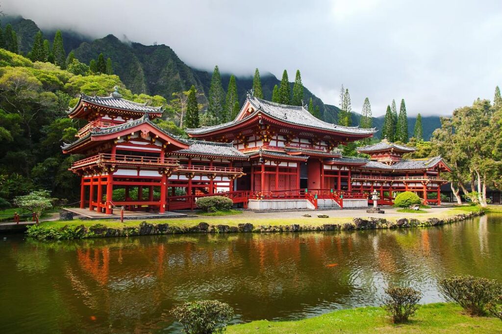 Koi Pond