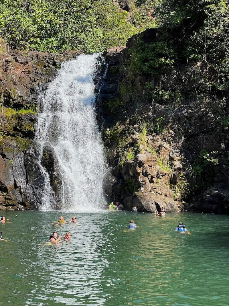 Waterfall Swim