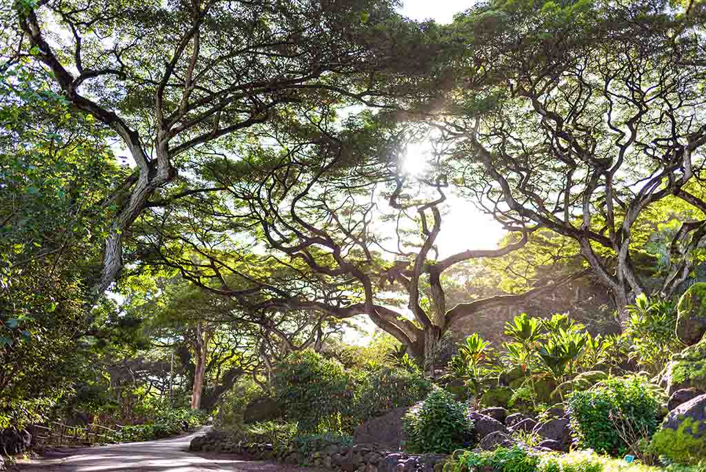 Botanical Gardens